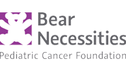 Bear Necessities Pediatric Cancer Foundation in Chicago