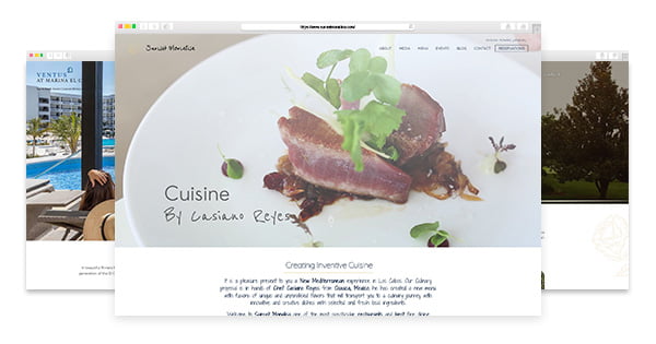 Attraction Web Design