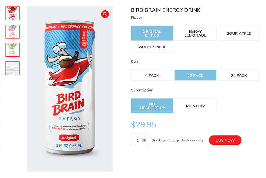 bird brain energy ecommerce